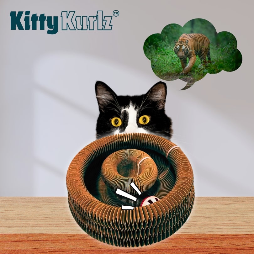 Kitty Kurlz™ Kattelegetøj