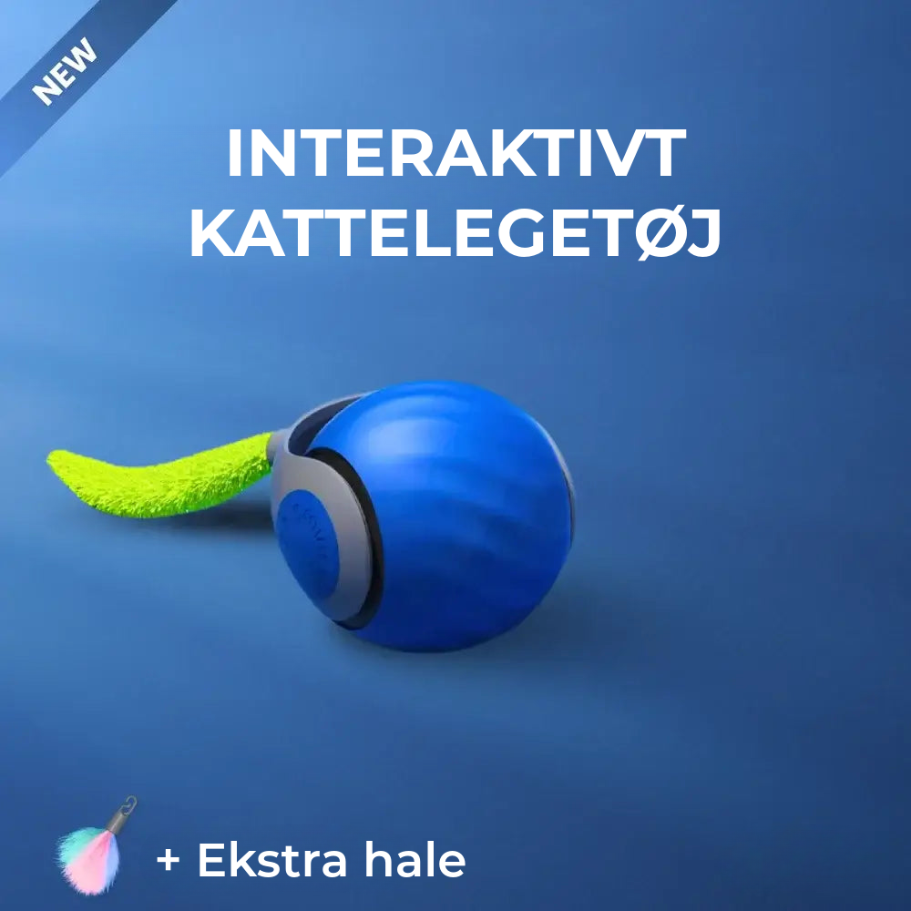 Interaktiv Kattelegetøj