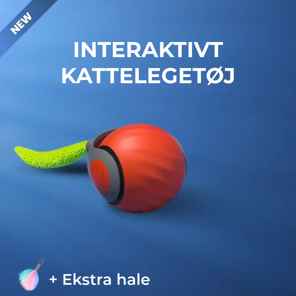 Interaktiv Kattelegetøj