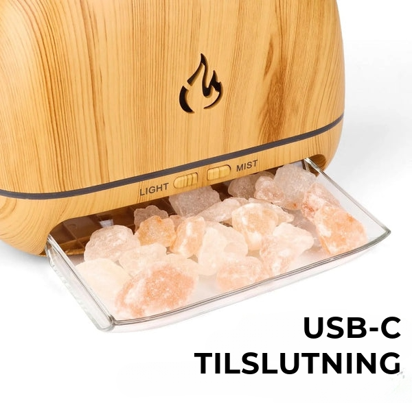 Himalaya Salt Diffuser