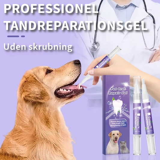 Professionel Tandreparationsgel