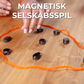 Magnetisk Selskabsspil